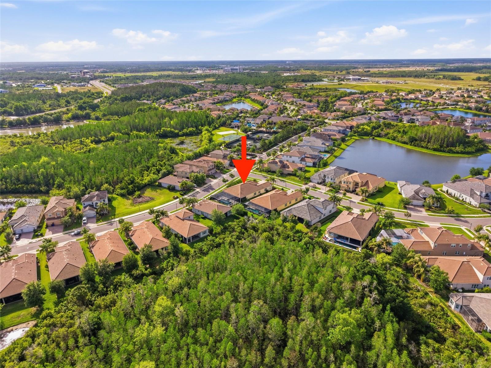 2420 COCO PALM CIR, WESLEY CHAPEL, FL, 33543