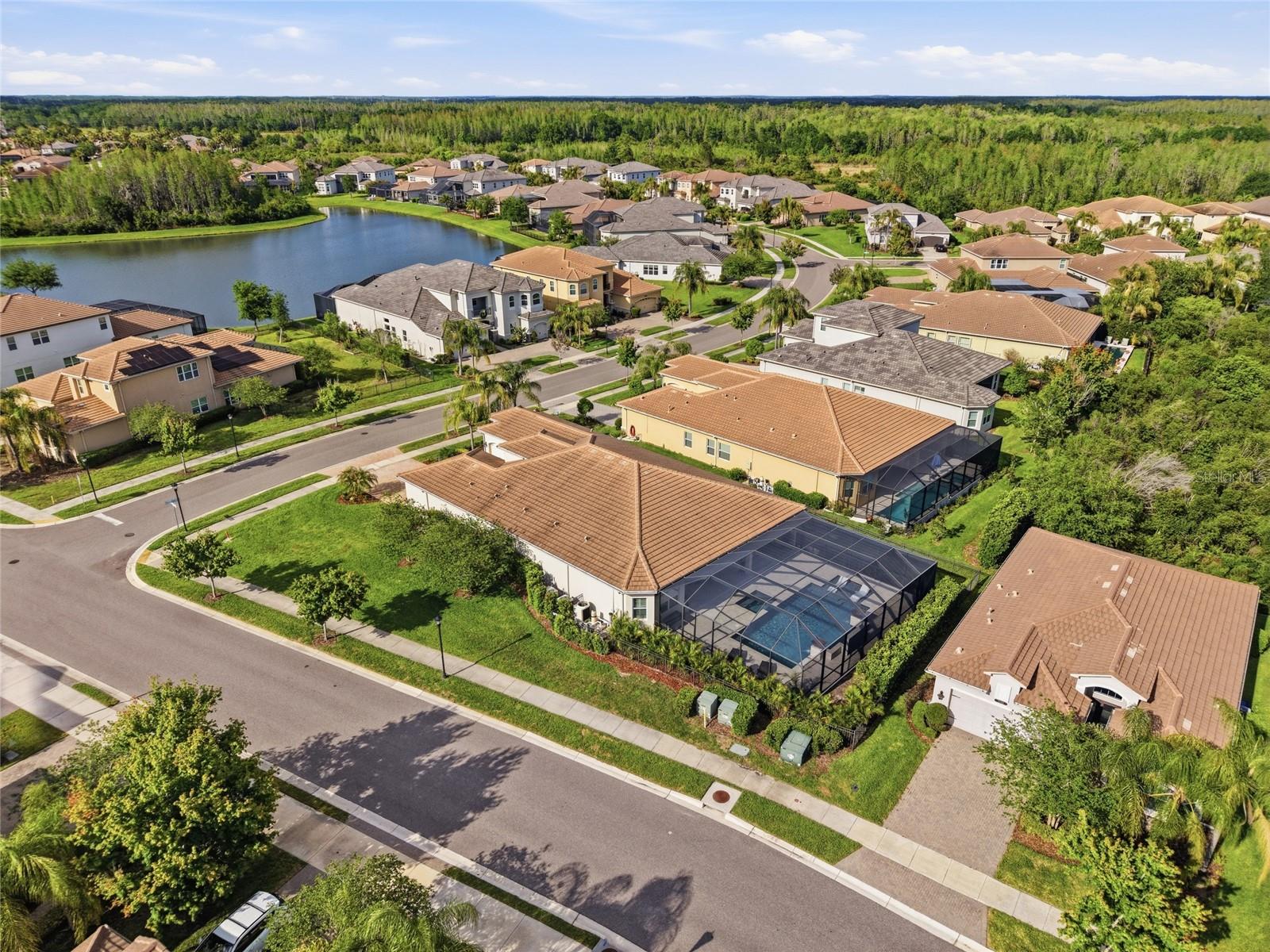 2420 COCO PALM CIR, WESLEY CHAPEL, FL, 33543