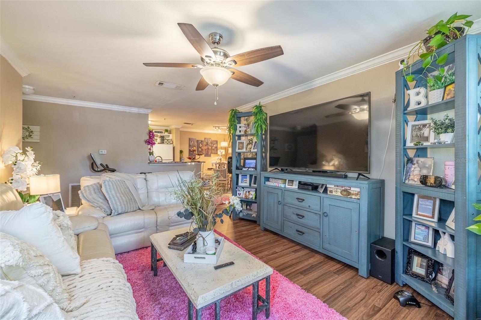 18439 BRIDLE CLUB DR, TAMPA, FL, 33647