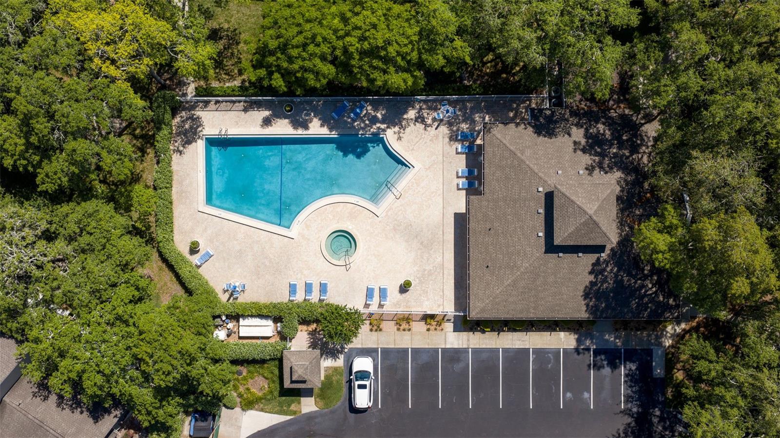 5100 BURCHETTE RD #2301, TAMPA, FL, 33647