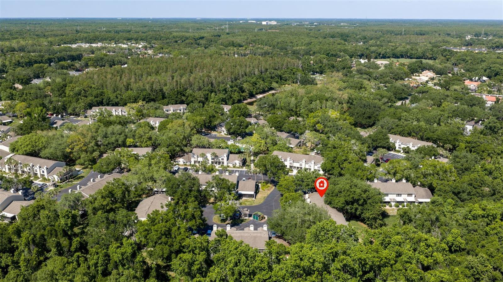 5100 BURCHETTE RD #2301, TAMPA, FL, 33647