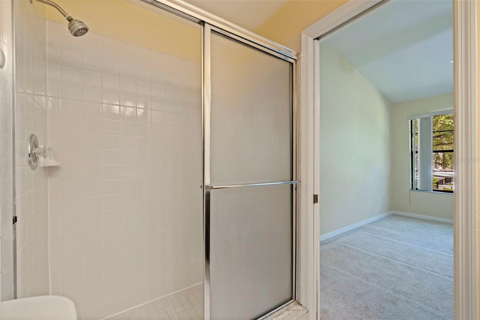 5100 BURCHETTE RD #2301, TAMPA, FL, 33647