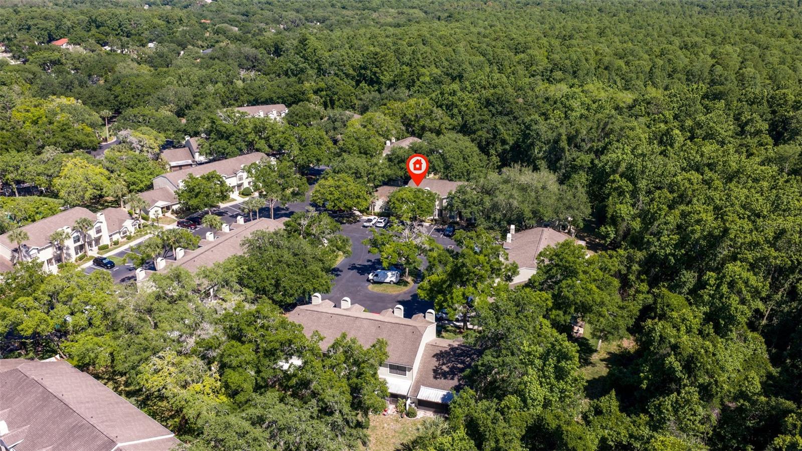 5100 BURCHETTE RD #2301, TAMPA, FL, 33647