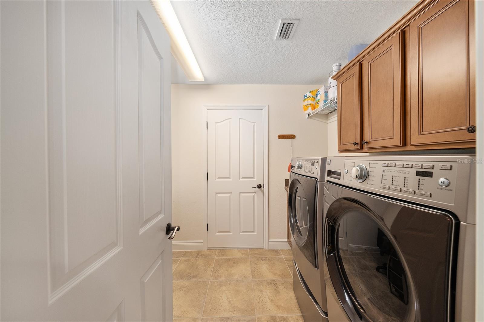 2033 SALMON WAY, THE VILLAGES, FL, 32162