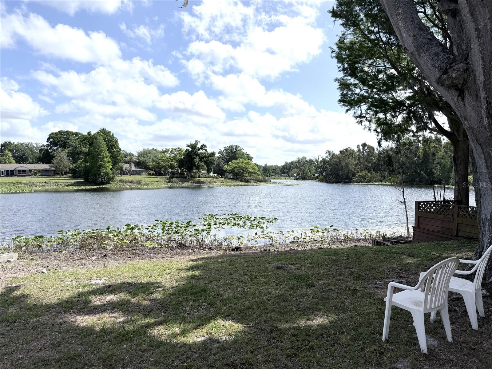 11505 N ROME AVE, TAMPA, FL, 33612