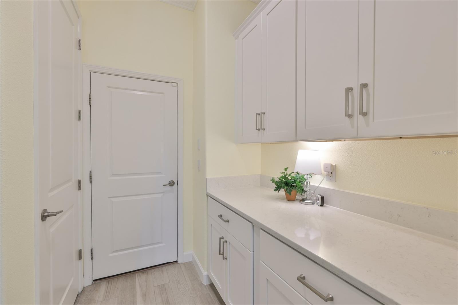 16955 SCUBA CREST ST, WIMAUMA, FL, 33598