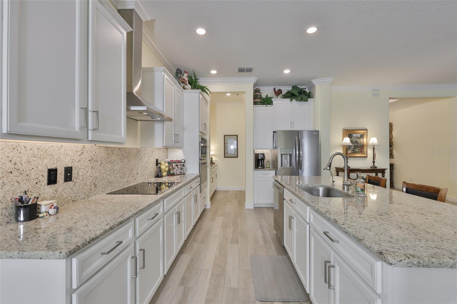 16955 SCUBA CREST ST, WIMAUMA, FL, 33598