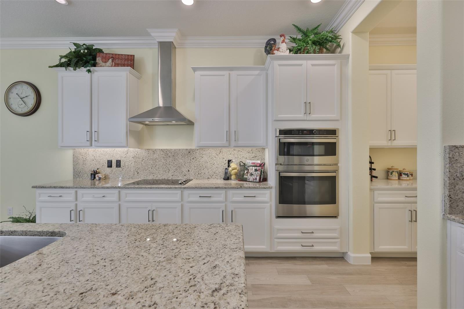 16955 SCUBA CREST ST, WIMAUMA, FL, 33598