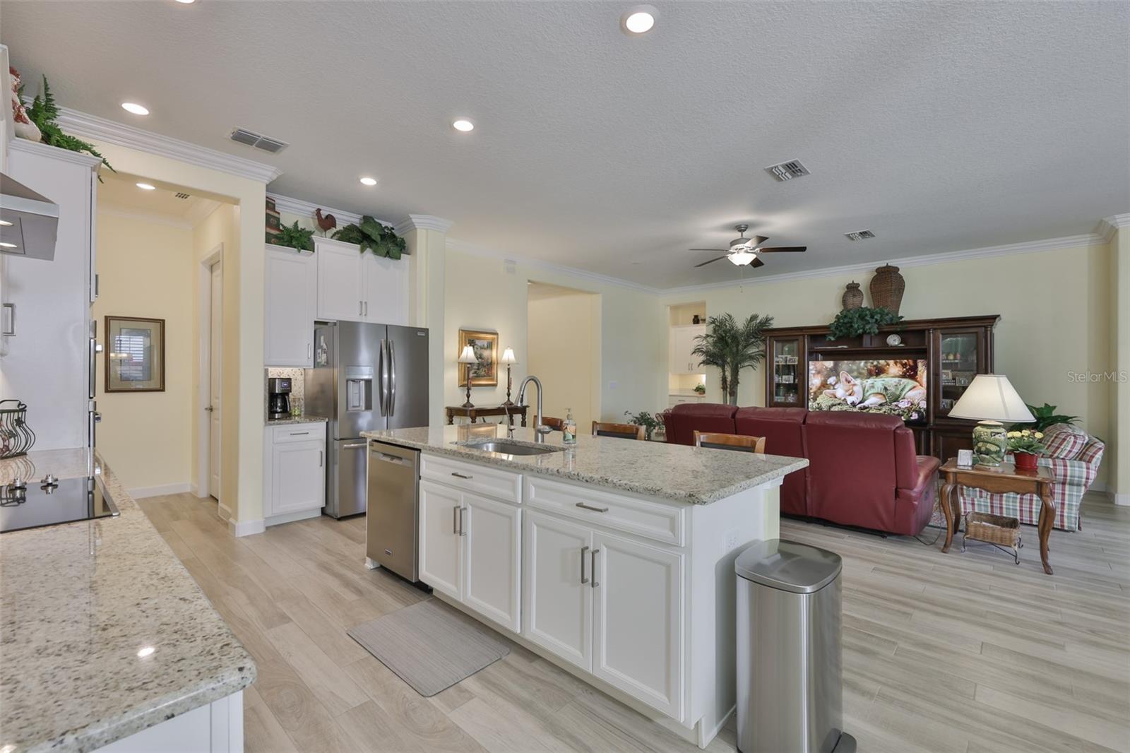 16955 SCUBA CREST ST, WIMAUMA, FL, 33598