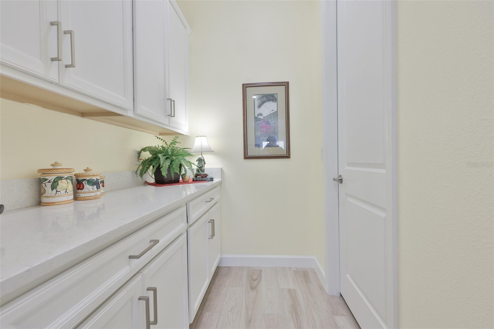 16955 SCUBA CREST ST, WIMAUMA, FL, 33598