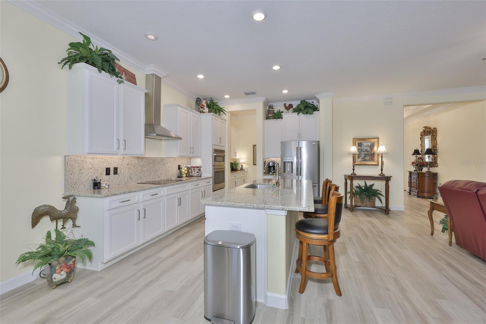 16955 SCUBA CREST ST, WIMAUMA, FL, 33598