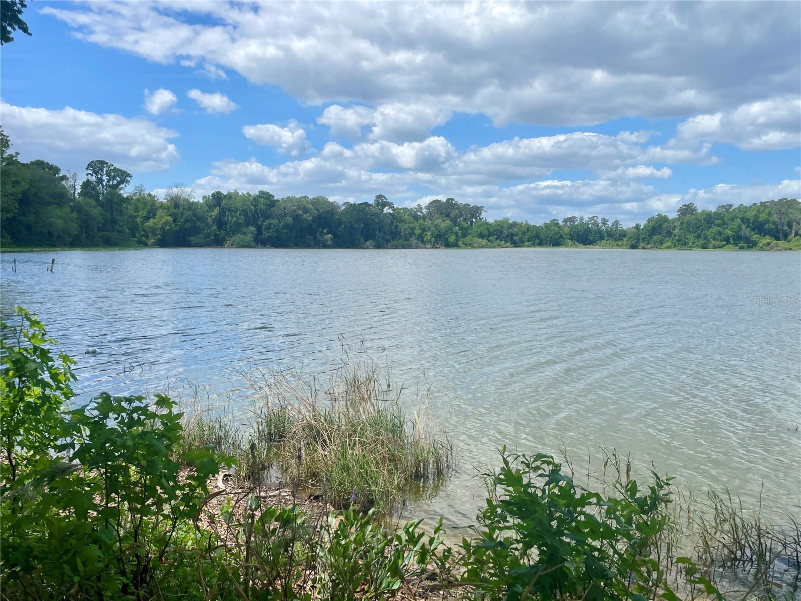 1800 SW 35TH PL, GAINESVILLE, FL, 32608