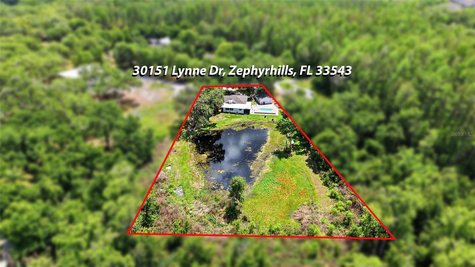 30151 LYNNE DR, WESLEY CHAPEL, FL, 33543