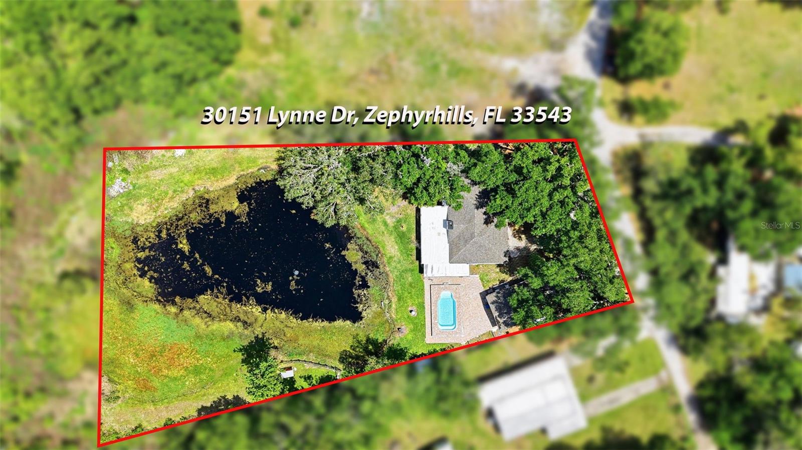 30151 LYNNE DR, WESLEY CHAPEL, FL, 33543