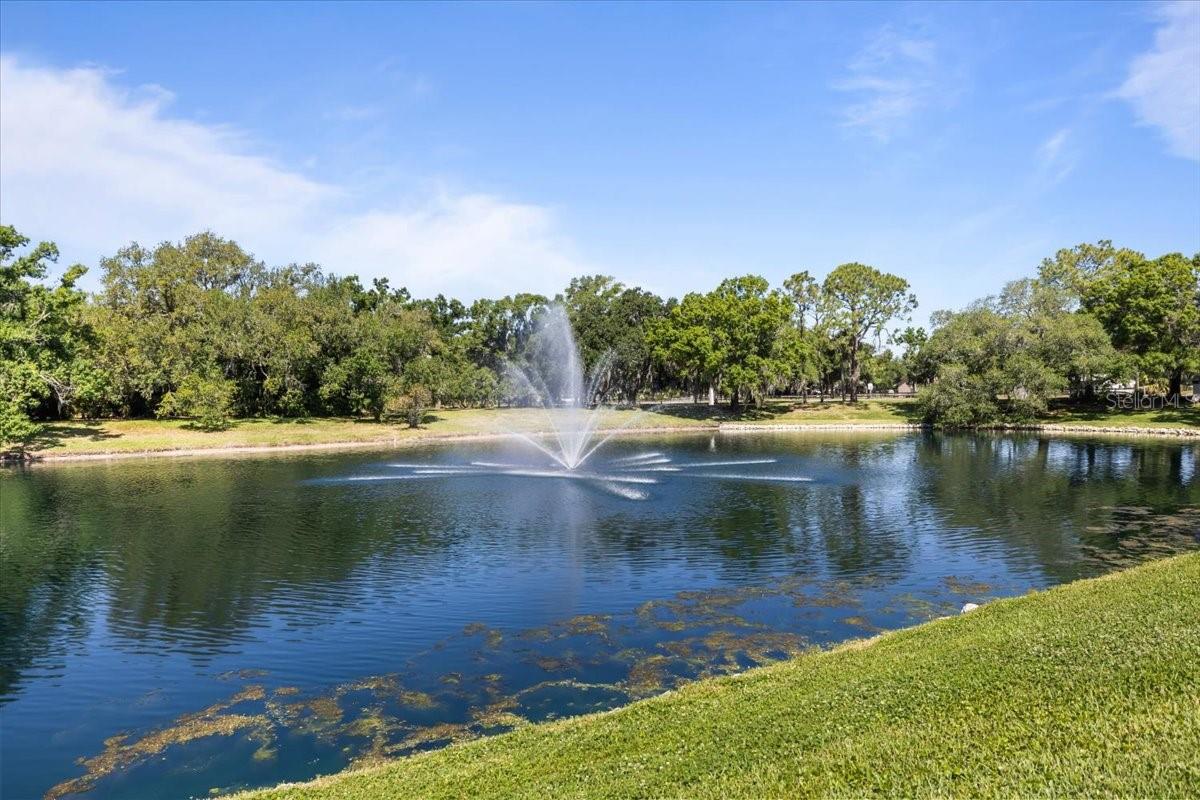 3428 BROOKRIDGE LN, PARRISH, FL, 34219