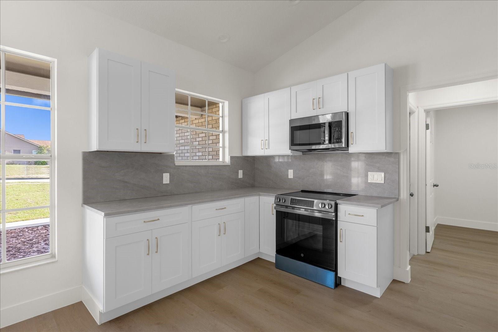 14602 PINE FOREST CT, CLERMONT, FL, 34711