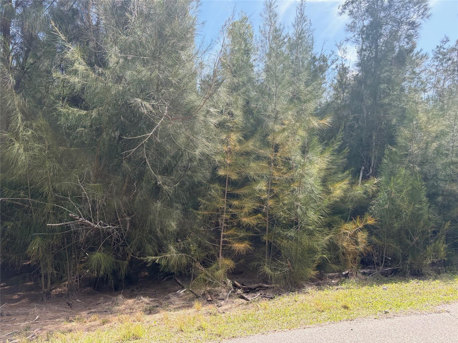 12088 ESTRELLA BLVD, PUNTA GORDA, FL, 33955