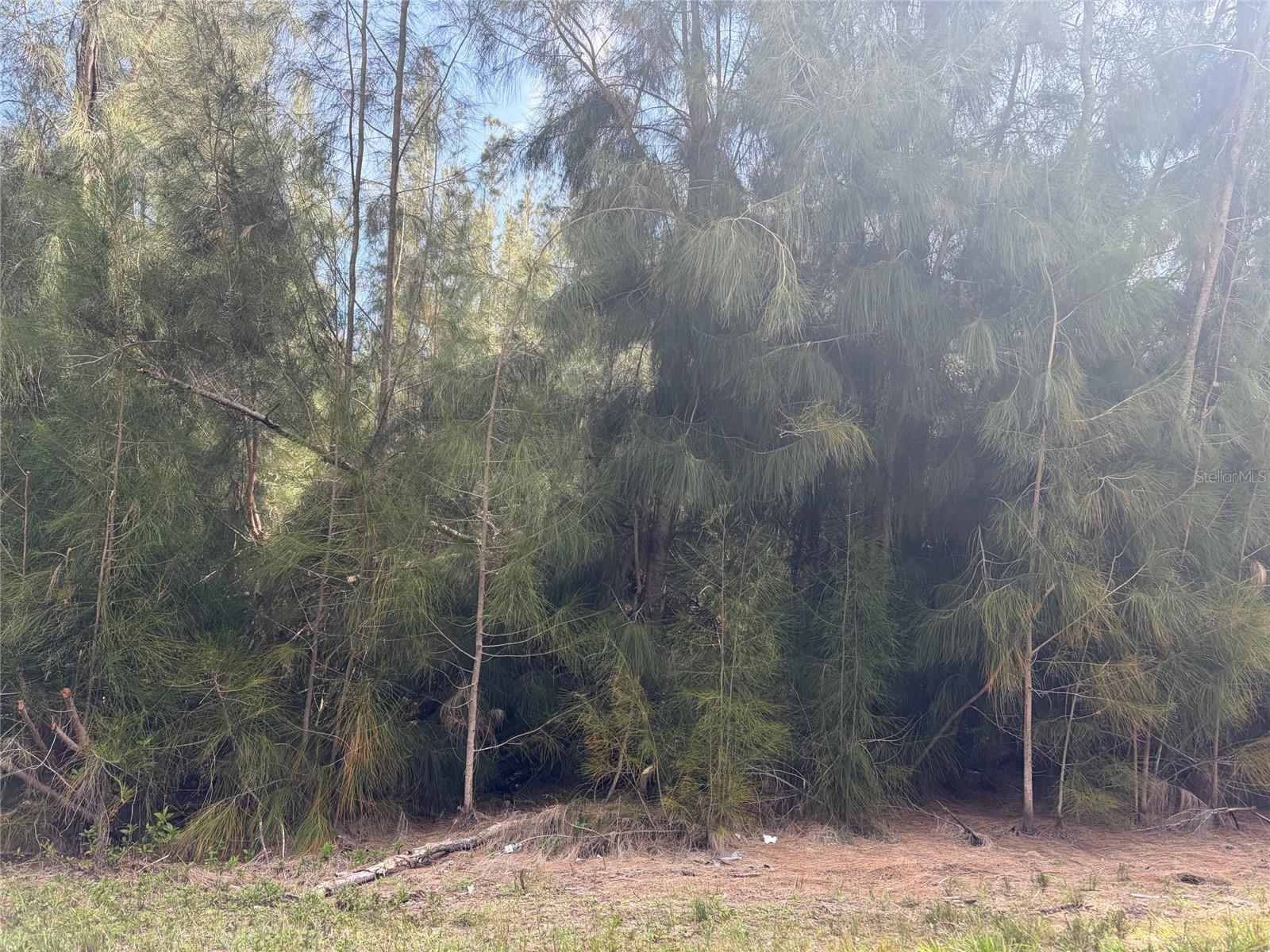 12088 ESTRELLA BLVD, PUNTA GORDA, FL, 33955