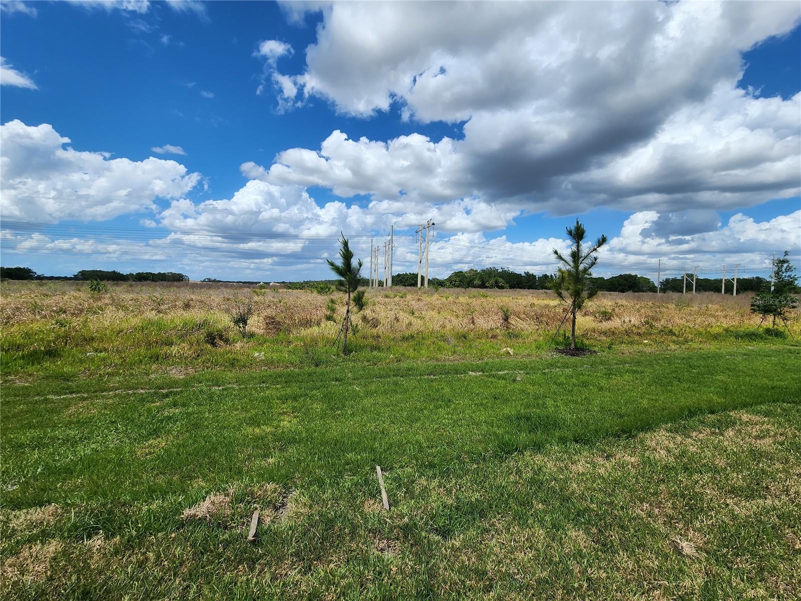 11434 GALLATIN TRL, PARRISH, FL, 34219