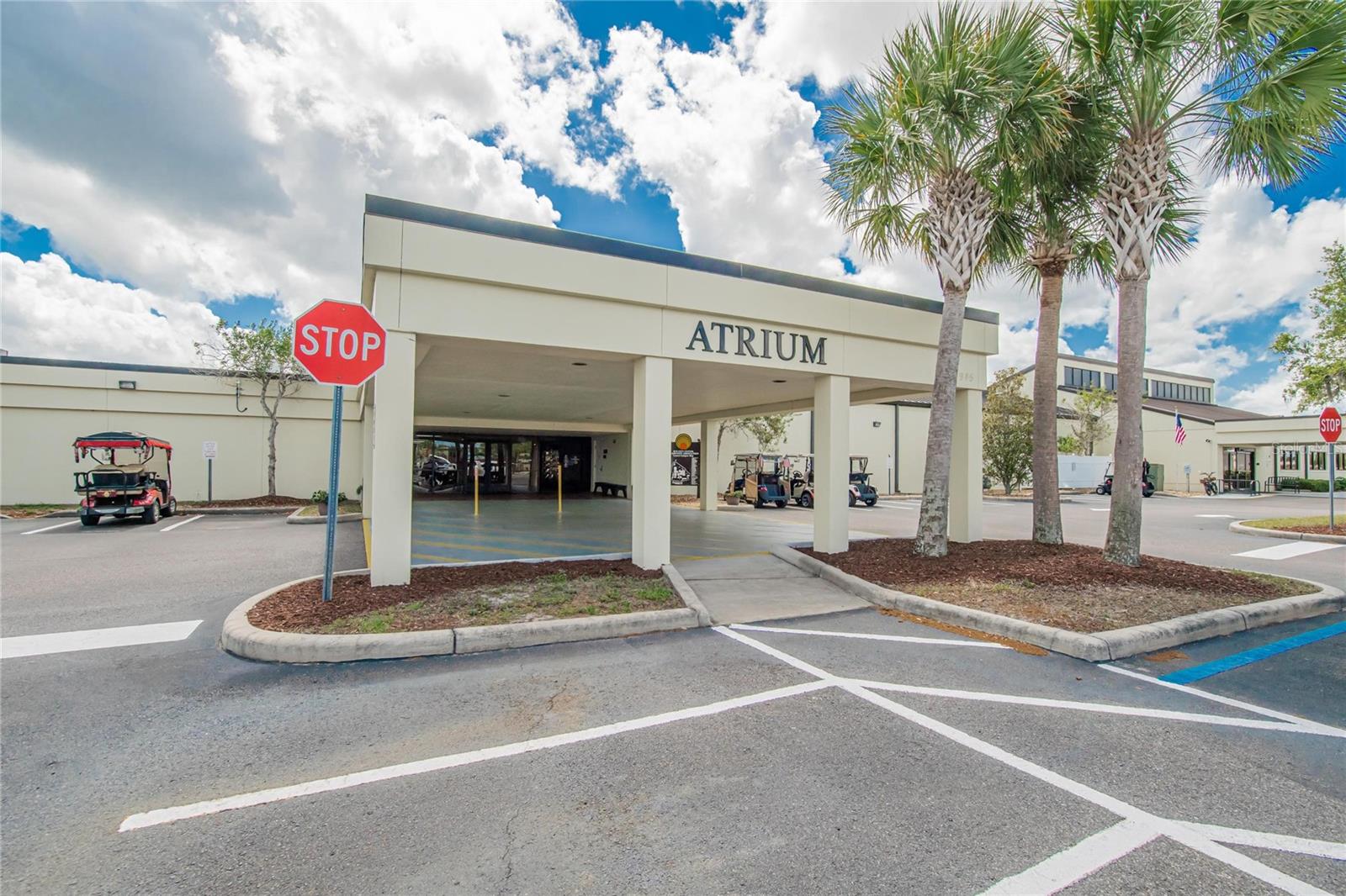 809 OAKMONT AVE, SUN CITY CENTER, FL, 33573