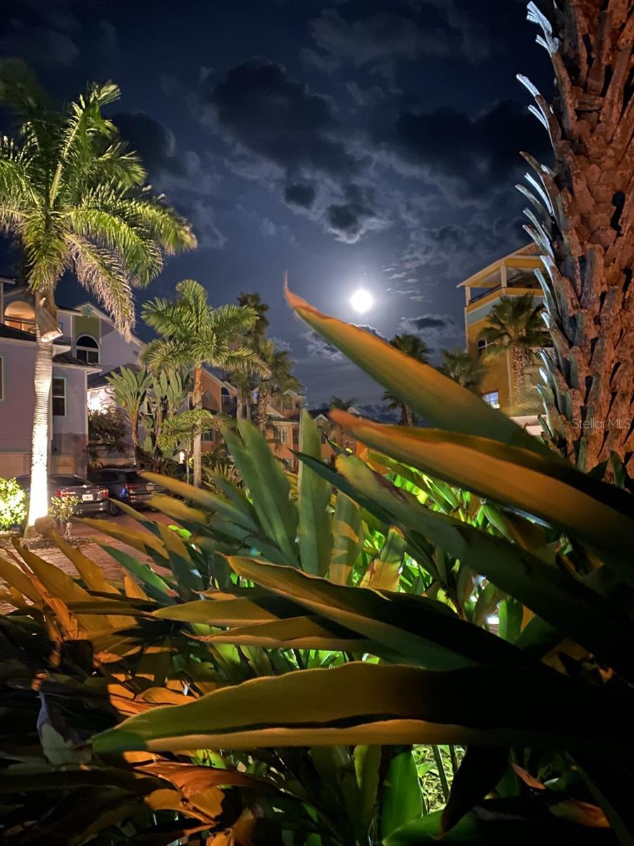 3000 OCEAN SHORE BLVD #150, ORMOND BEACH, FL, 32176