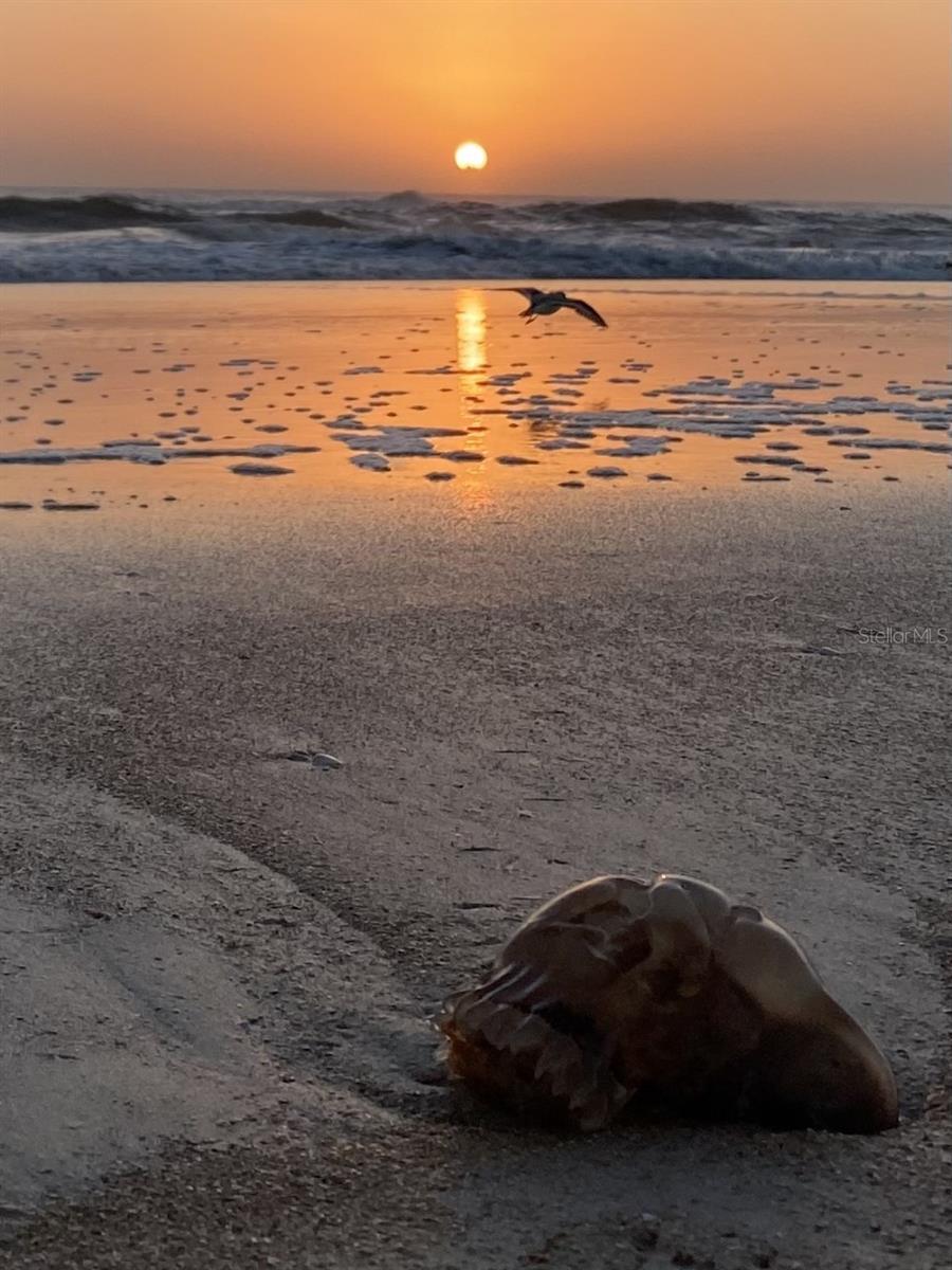 3000 OCEAN SHORE BLVD #150, ORMOND BEACH, FL, 32176