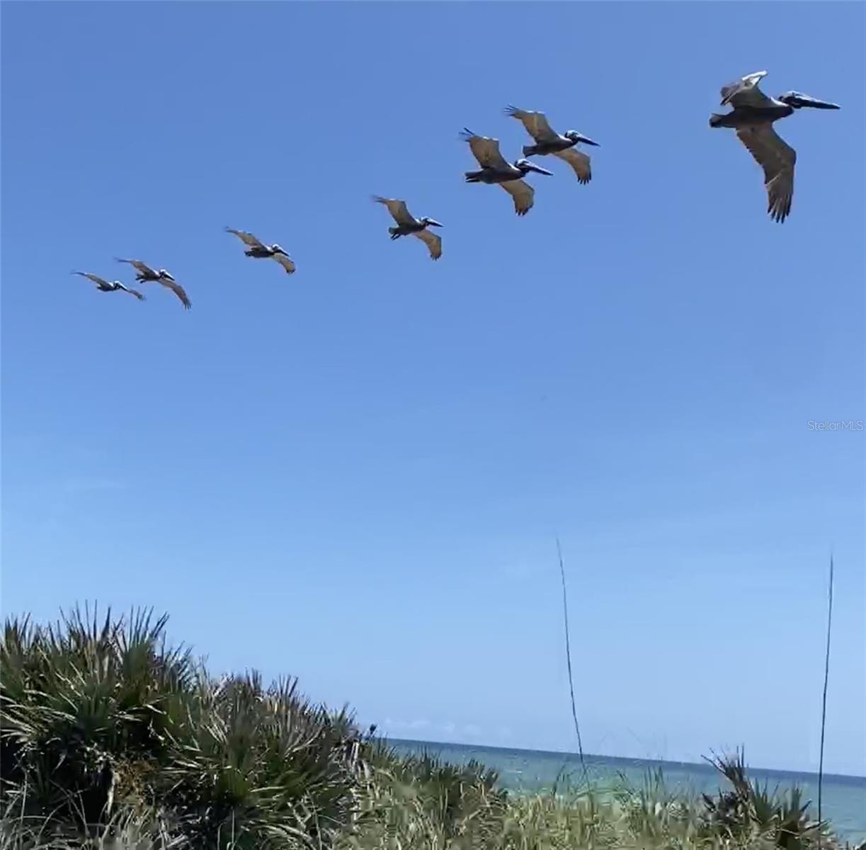 3000 OCEAN SHORE BLVD #150, ORMOND BEACH, FL, 32176