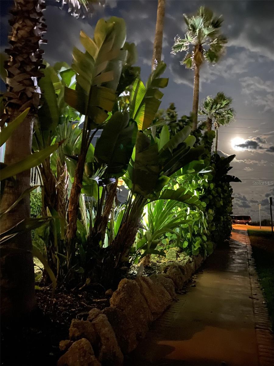 3000 OCEAN SHORE BLVD #150, ORMOND BEACH, FL, 32176