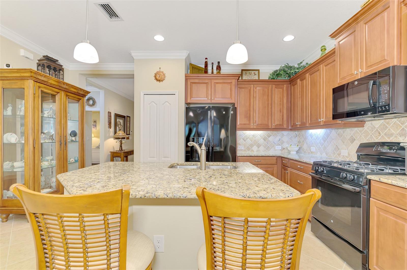 11513 FAKAHATCHEE CT, VENICE, FL, 34293