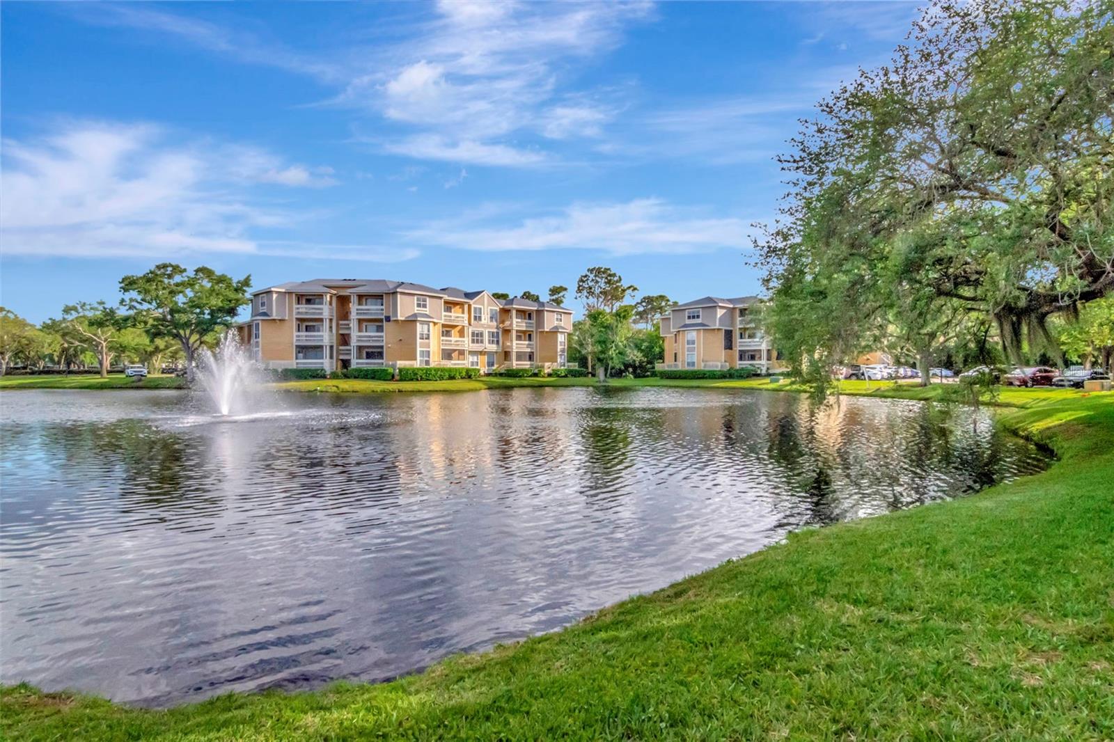 115 112TH AVE NE #803, ST PETERSBURG, FL, 33716