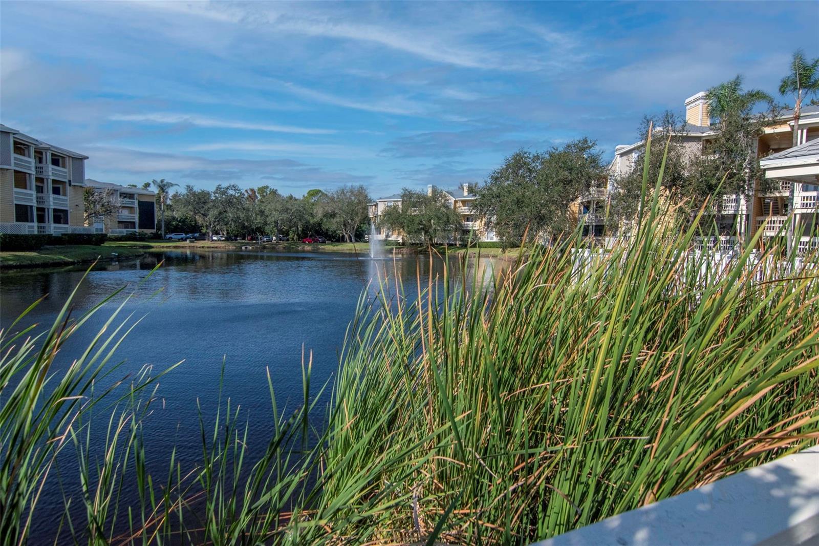 115 112TH AVE NE #803, ST PETERSBURG, FL, 33716