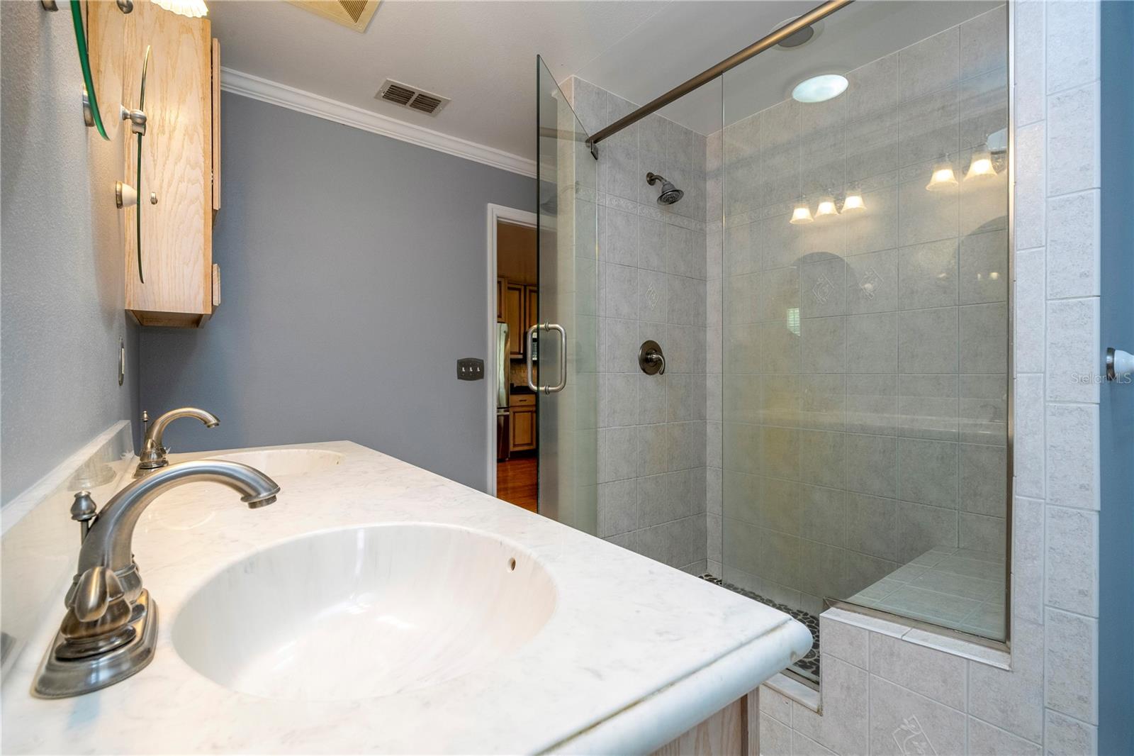 8595 MILLINOCKETT LN, ORLANDO, FL, 32825