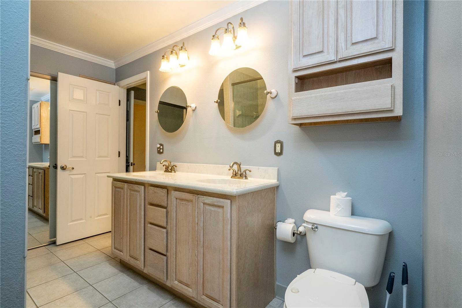 8595 MILLINOCKETT LN, ORLANDO, FL, 32825