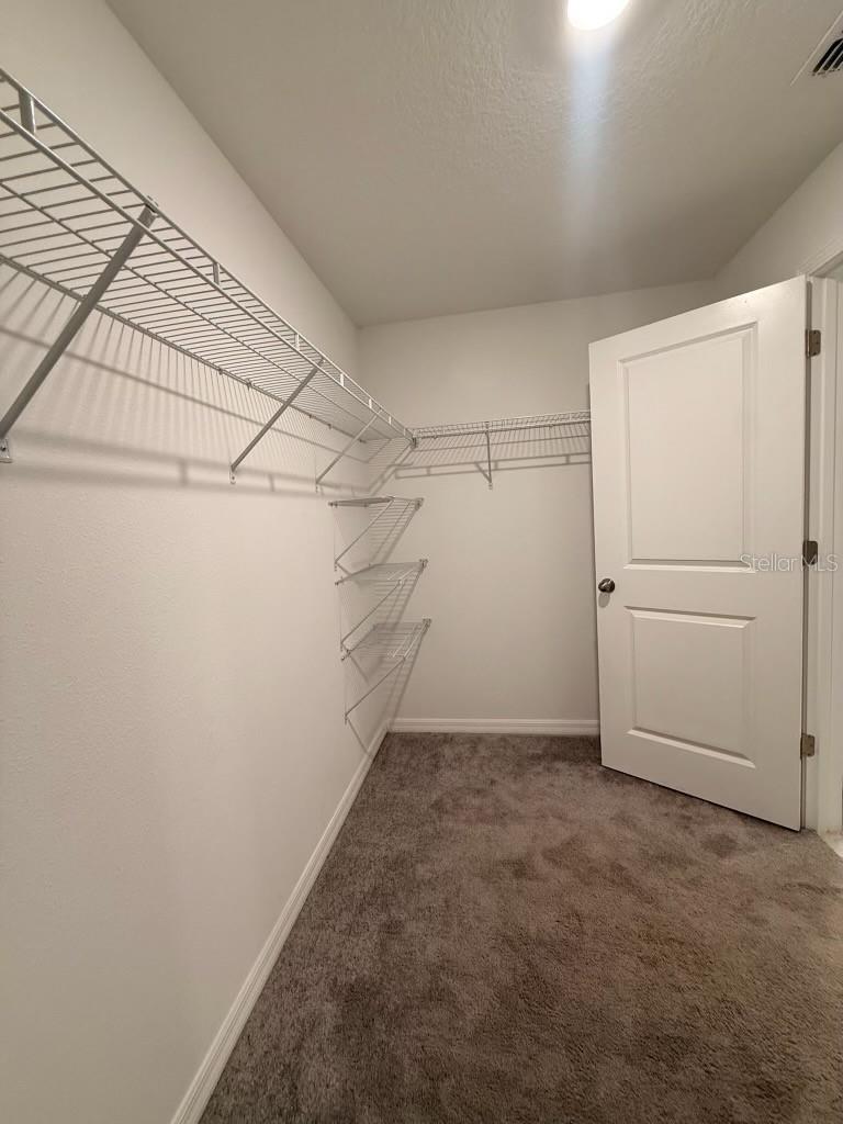 11424 SAGE CANYON DR, RIVERVIEW, FL, 33578