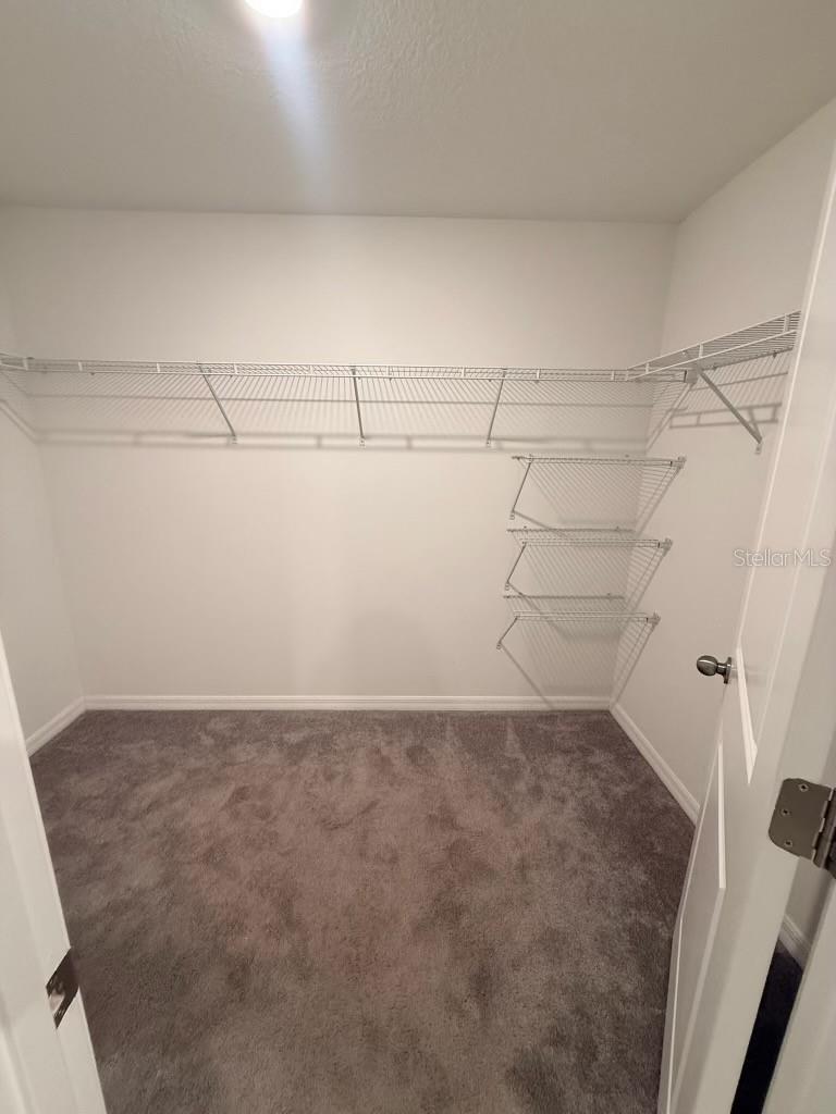 11424 SAGE CANYON DR, RIVERVIEW, FL, 33578