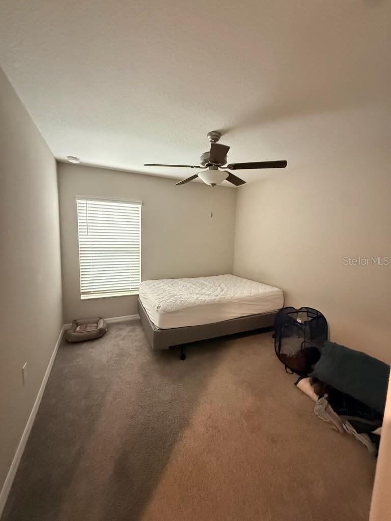 11424 SAGE CANYON DR, RIVERVIEW, FL, 33578