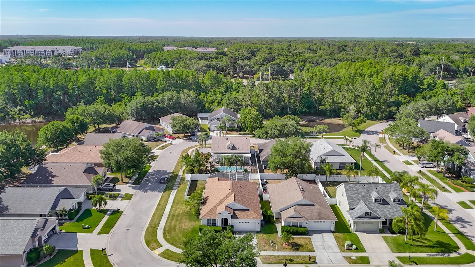 17354 LAWN ORCHID LOOP, LAND O LAKES, FL, 34638