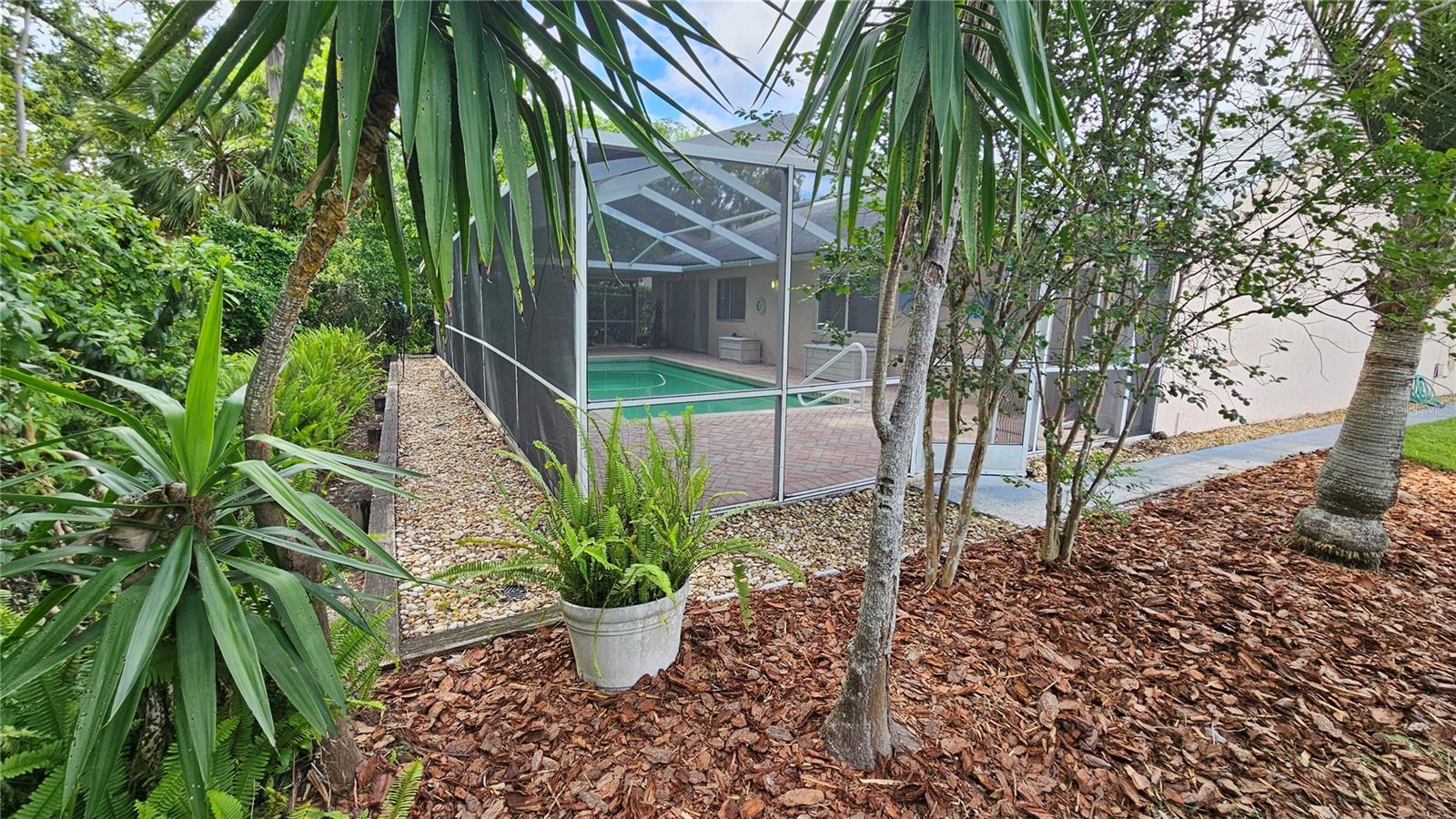 2626 WENDOVER TER, PALM HARBOR, FL, 34685