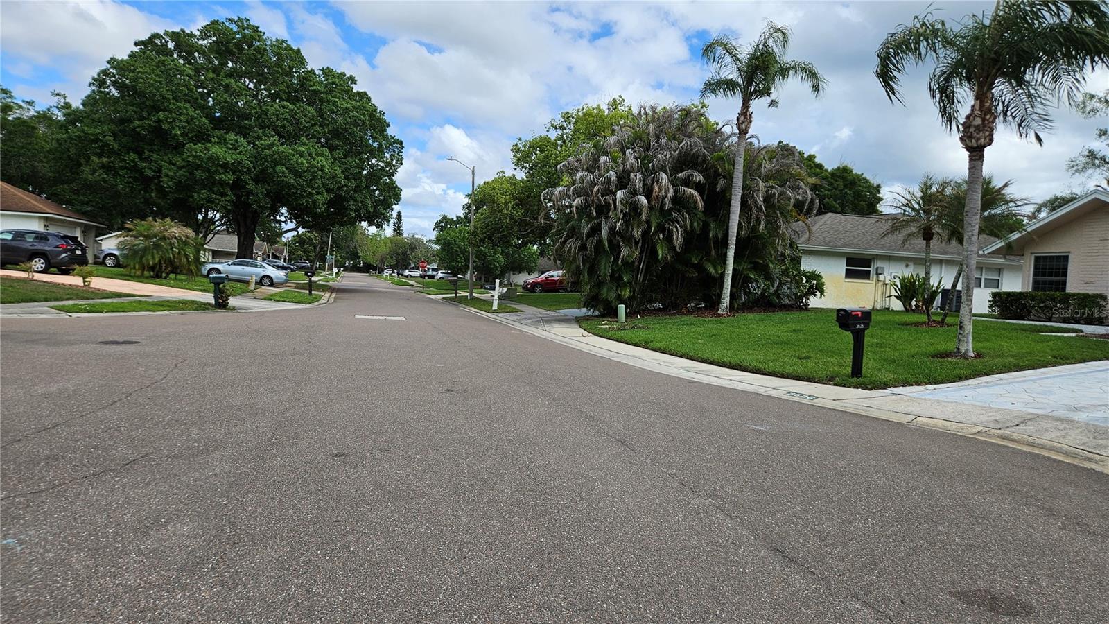 2626 WENDOVER TER, PALM HARBOR, FL, 34685