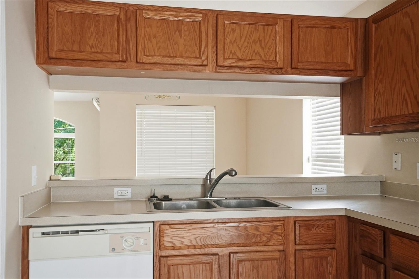 13408 TEABERRY LN, SPRING HILL, FL, 34609