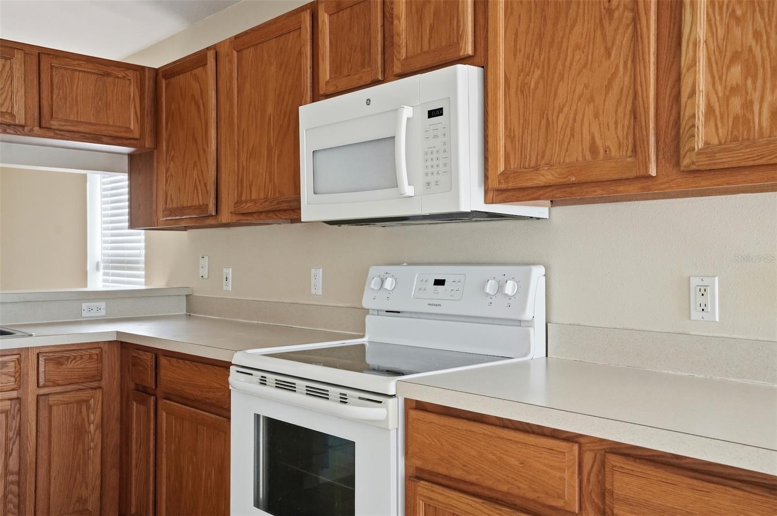 13408 TEABERRY LN, SPRING HILL, FL, 34609