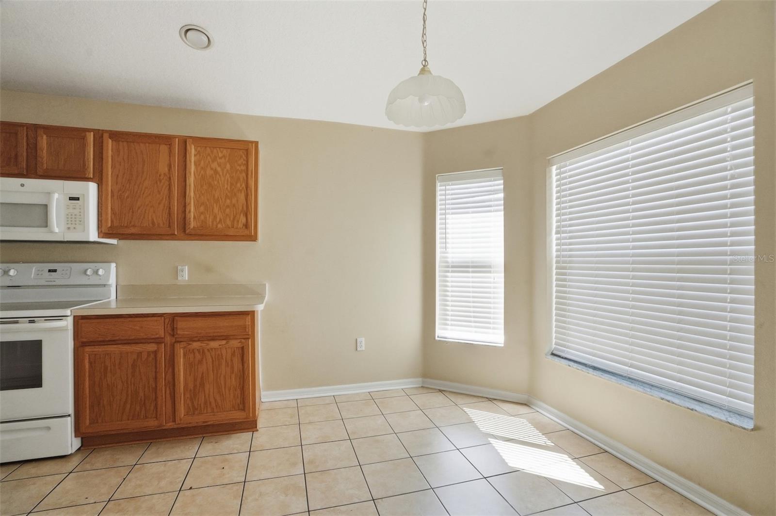 13408 TEABERRY LN, SPRING HILL, FL, 34609