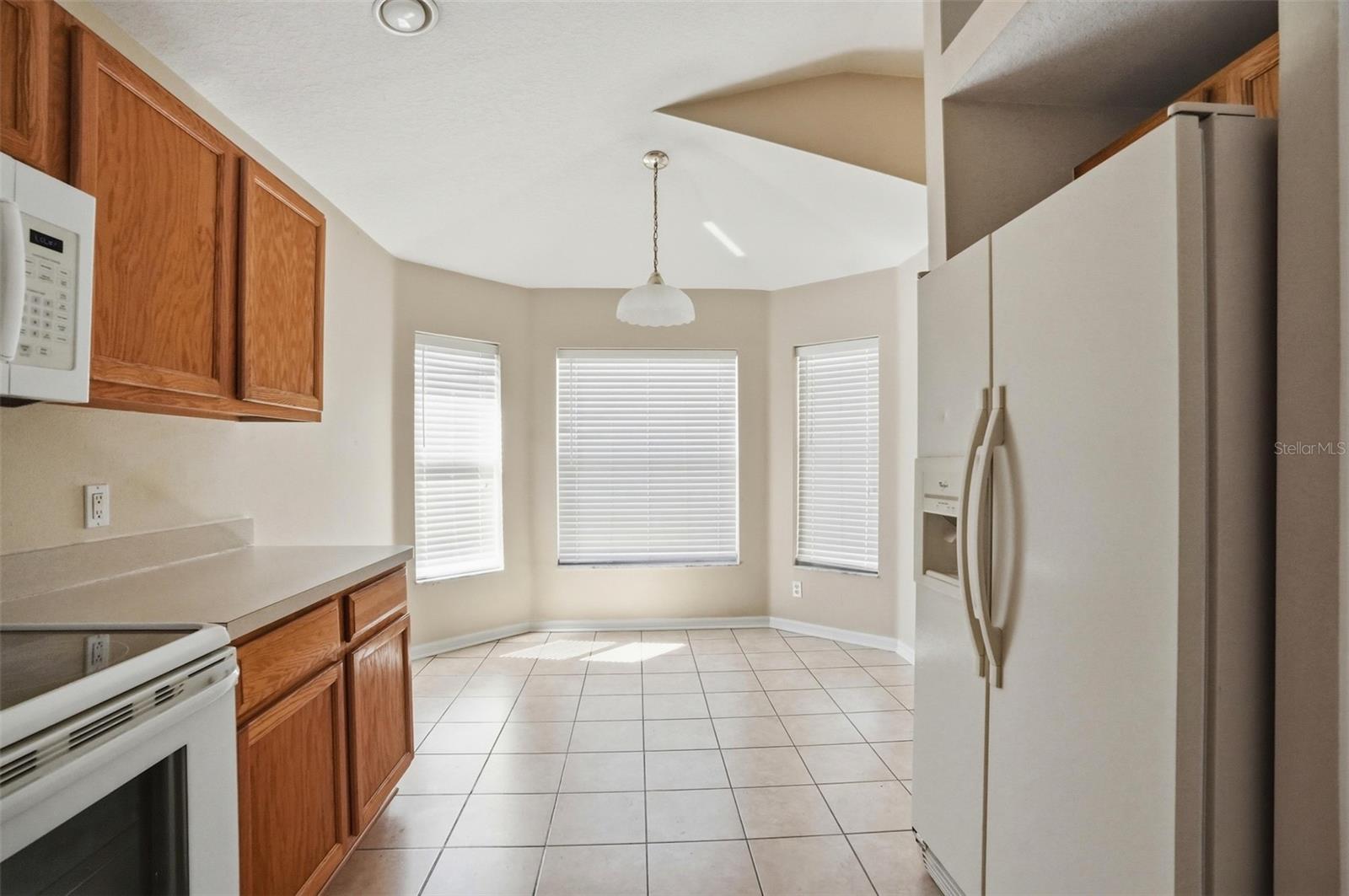 13408 TEABERRY LN, SPRING HILL, FL, 34609