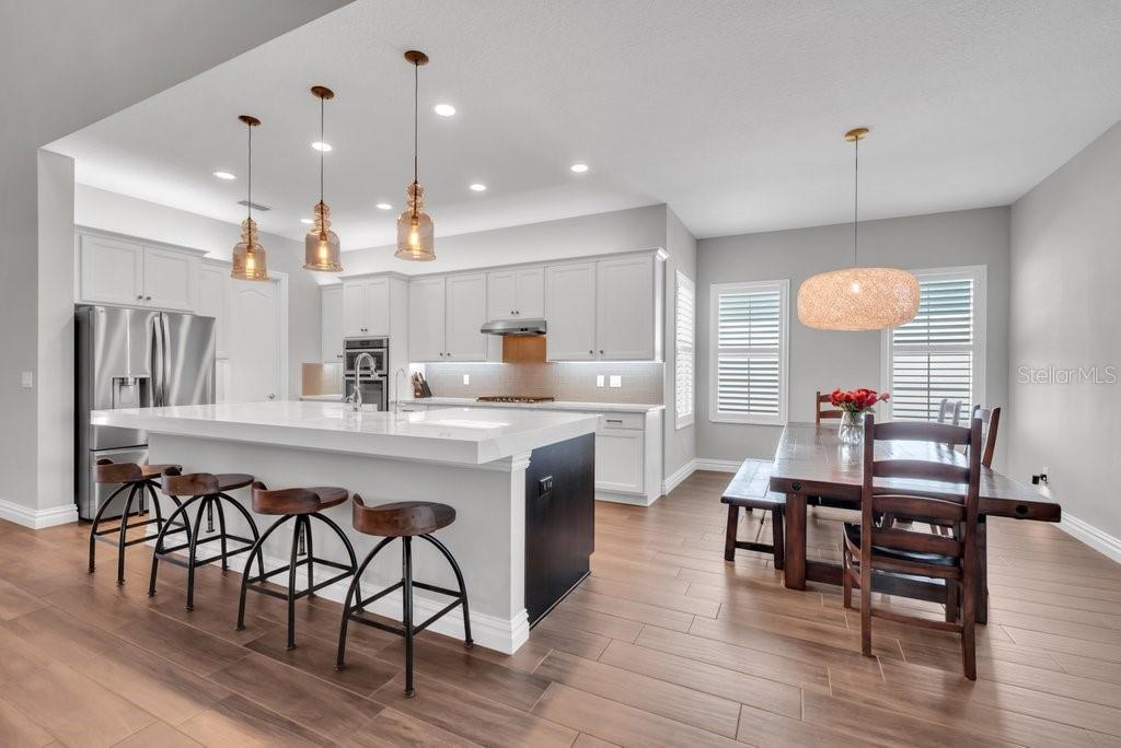 14908 BASSINGER LN, LITHIA, FL, 33547