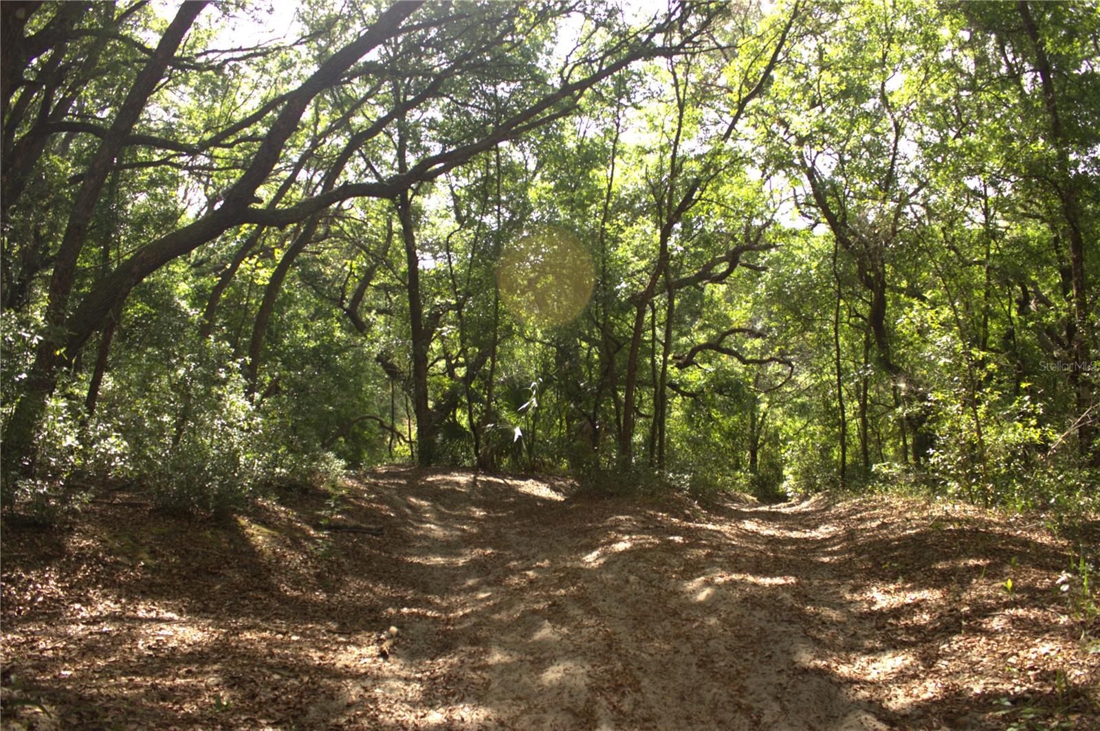 REDBUD RD, LADY LAKE, FL, 32159