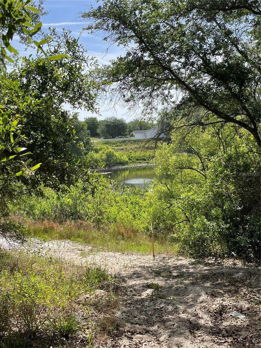 REDBUD RD, LADY LAKE, FL, 32159