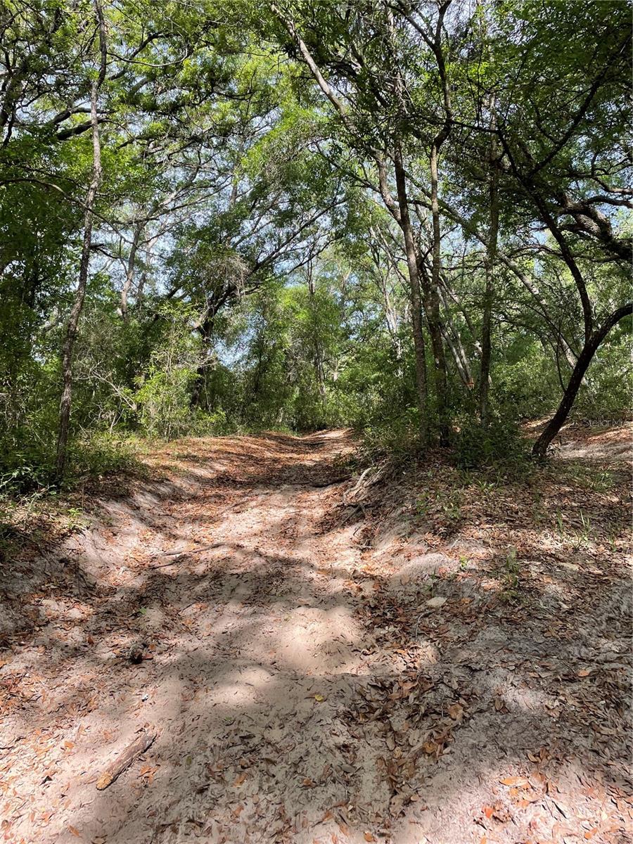 REDBUD RD, LADY LAKE, FL, 32159