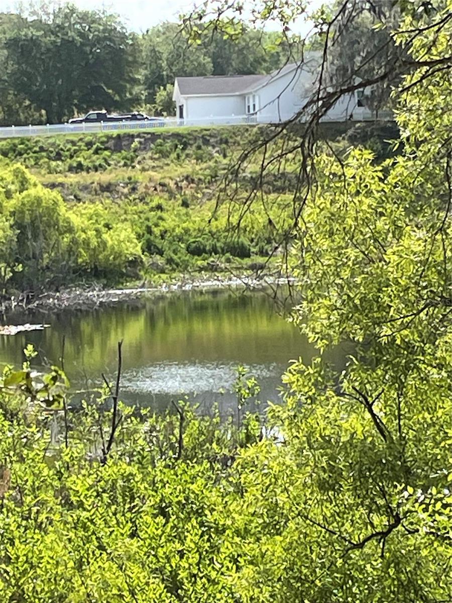 REDBUD RD, LADY LAKE, FL, 32159