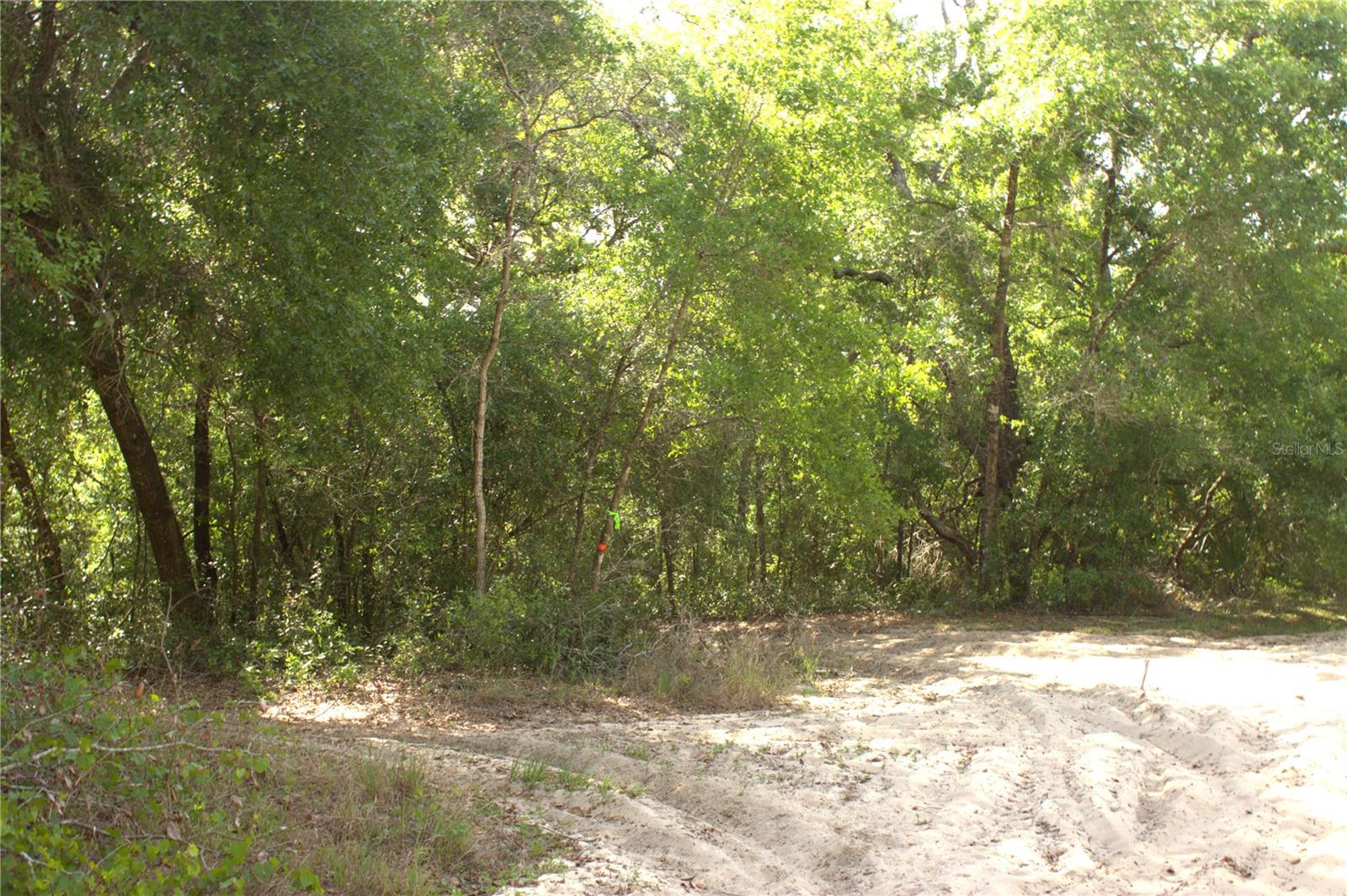 REDBUD RD, LADY LAKE, FL, 32159