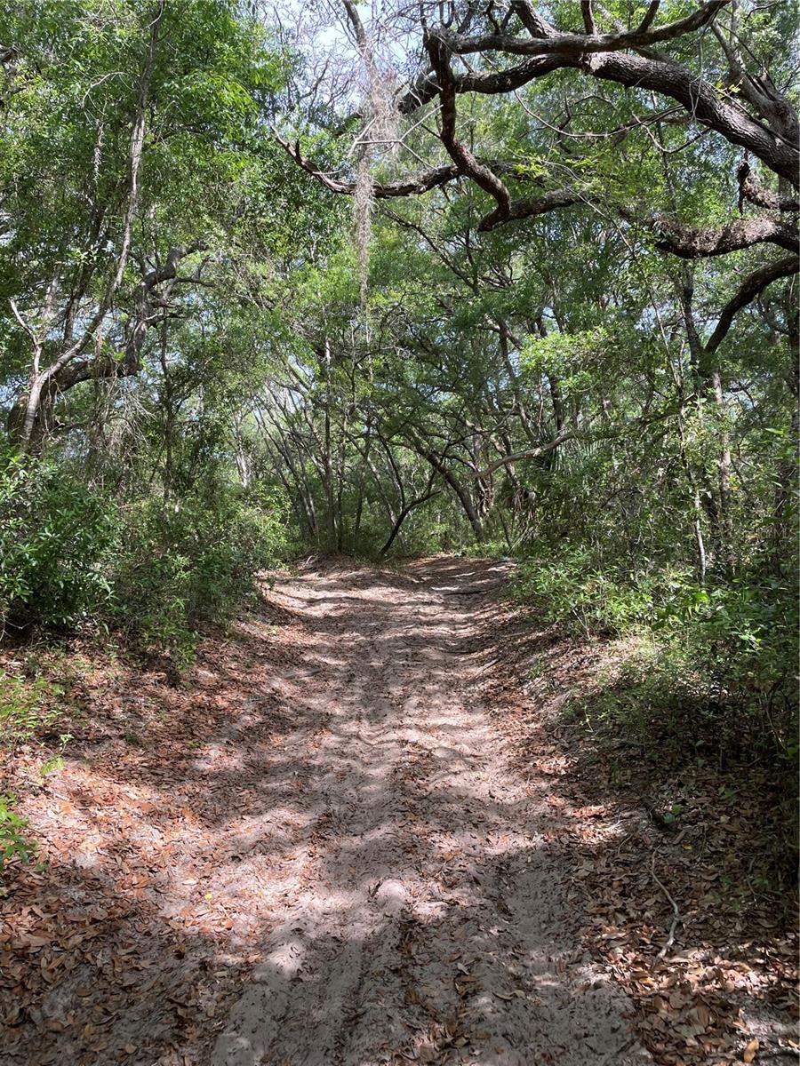 REDBUD RD, LADY LAKE, FL, 32159